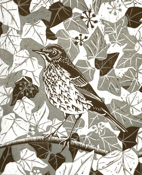 hand made lino cut of thrush in 2 colours