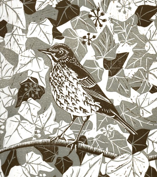 hand made lino cut of thrush in 2 colours