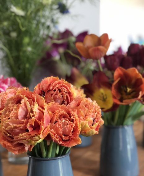 orange tulip in grey enamel jugs